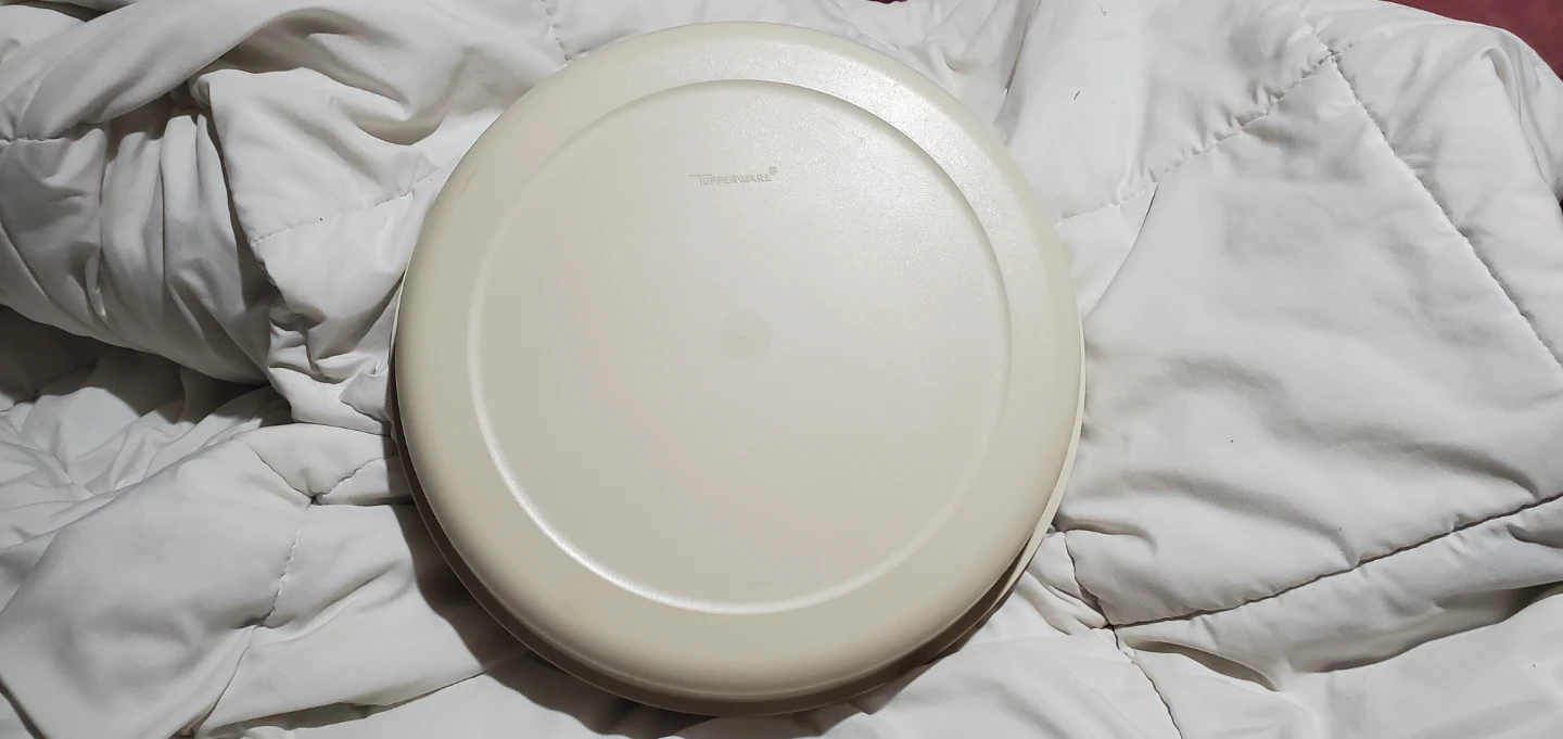 Tupperware Divided Serving Tray - photo 3