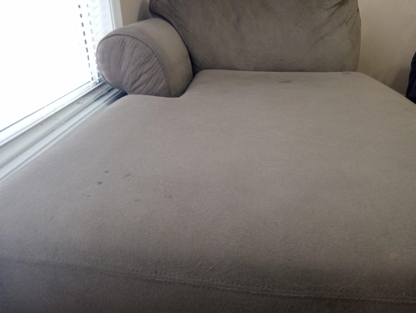 Taupe Chaise Lounge