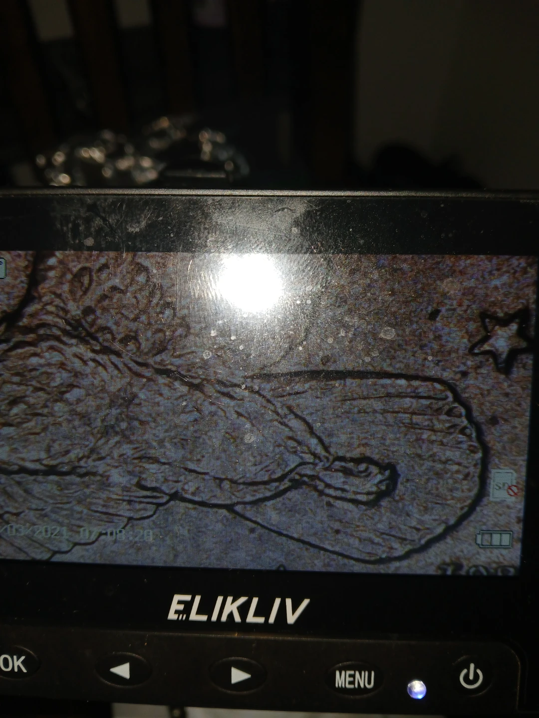 2000 p dollar coin - photo 3
