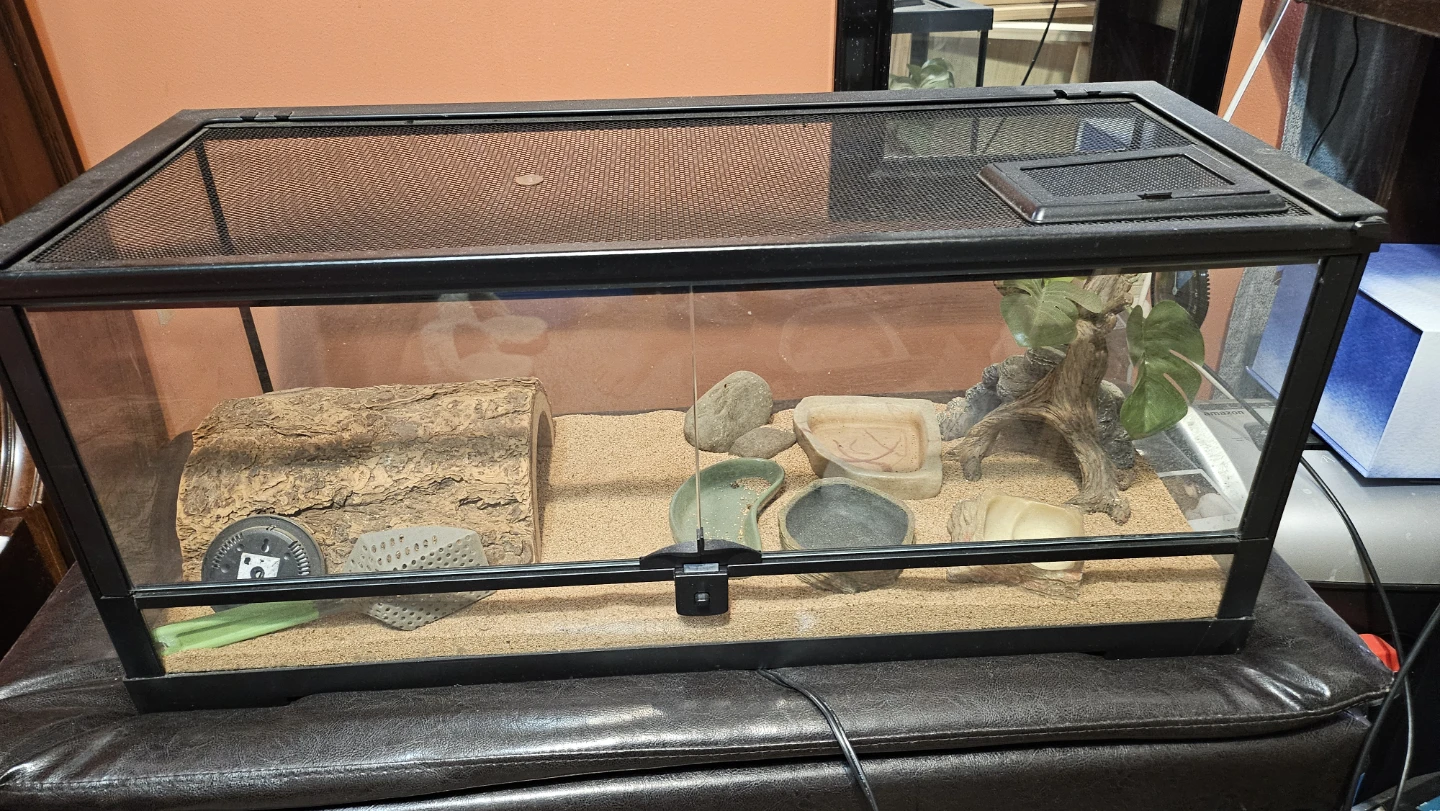 Glass Terrarium with Accessories