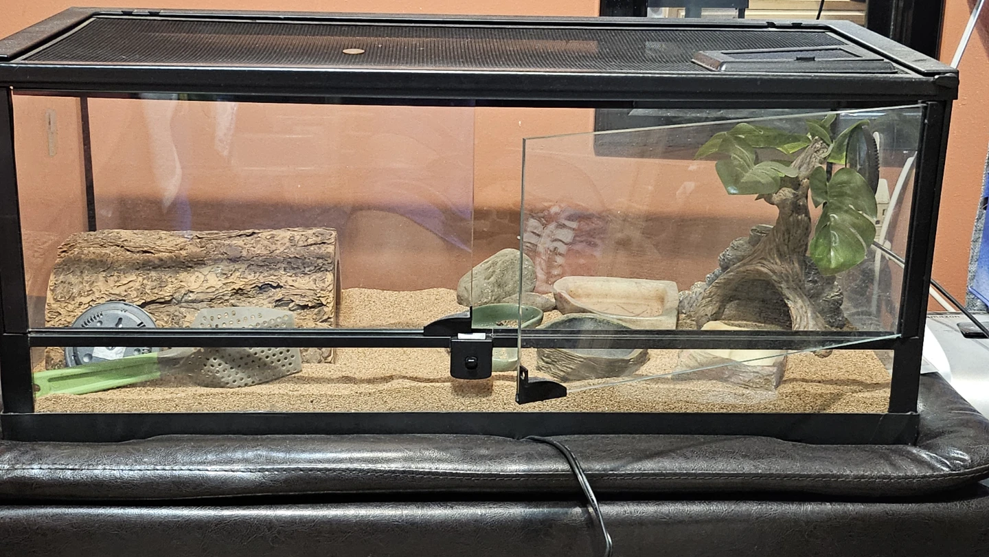 Glass Terrarium with Accessories - photo 2