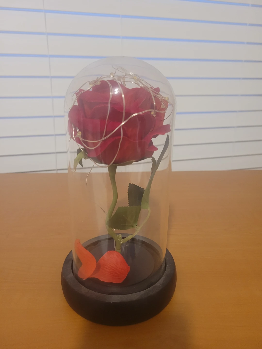 Enchanted Rose Dome with Lights - photo 2