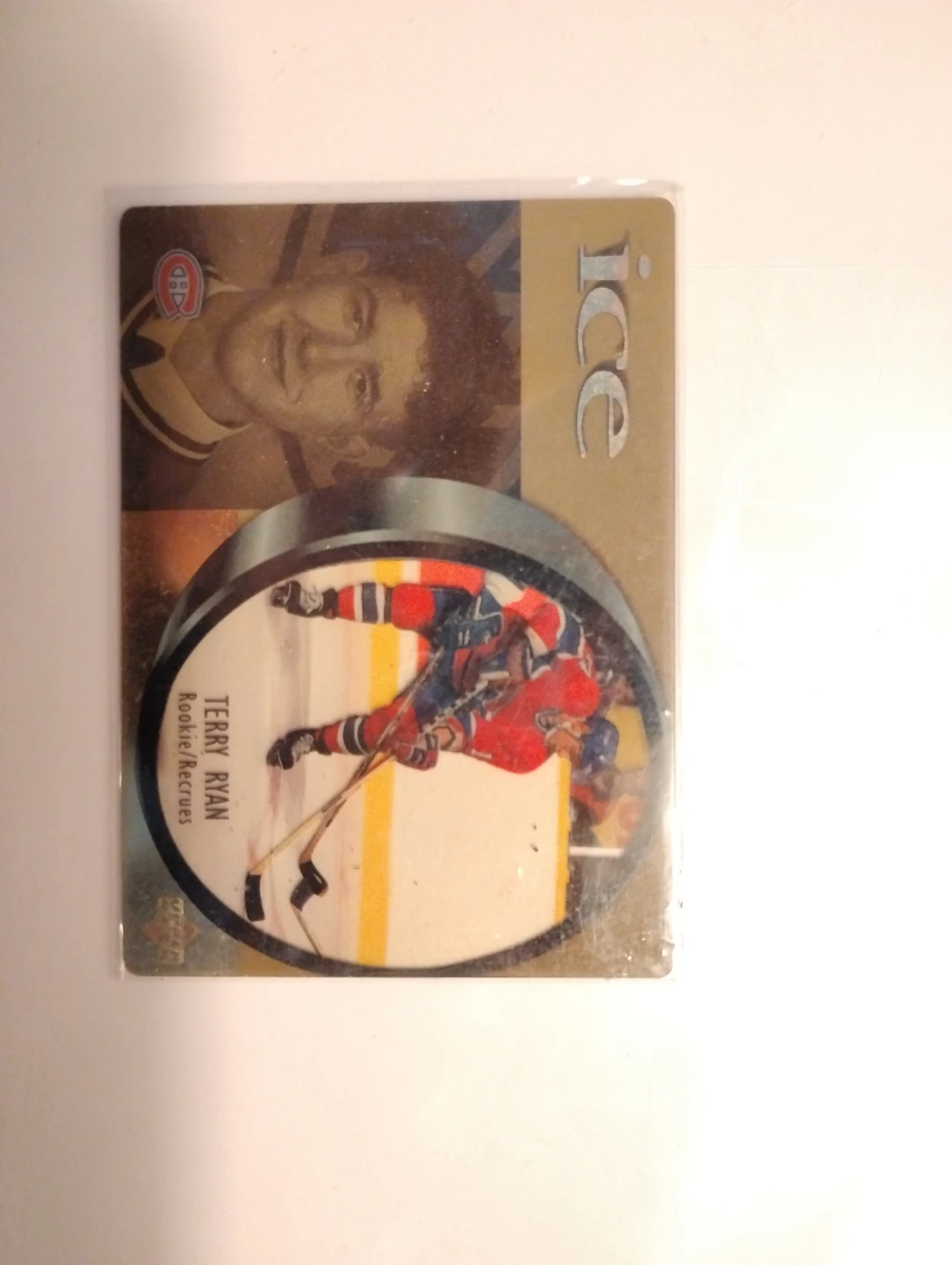 Terry Ryan 1997-98 Upper Deck ICE Rookie Recruits Hockey Card