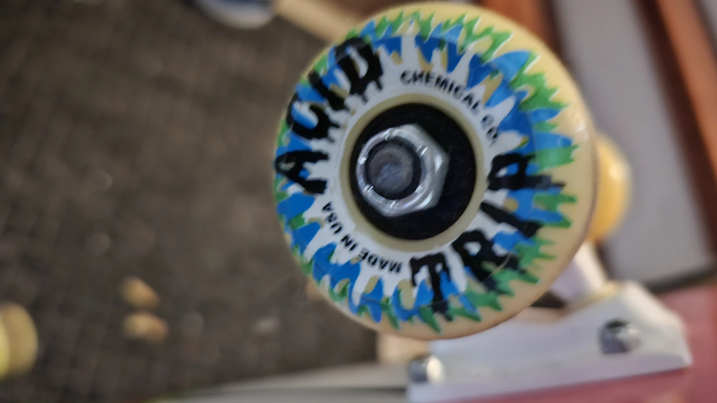 DGK complete Skateboard - photo 3