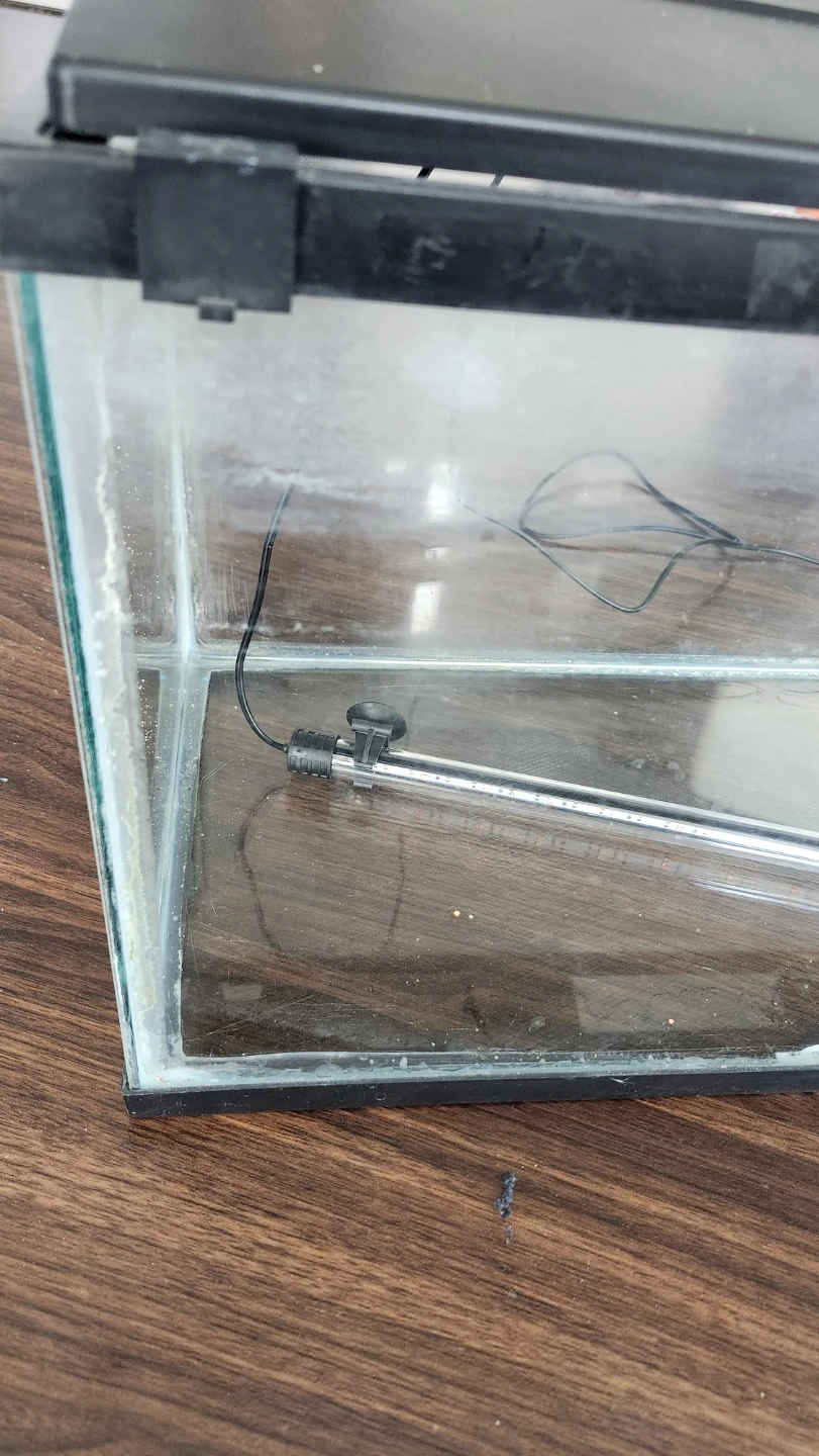 10 gallon Glass Aquarium - photo 3
