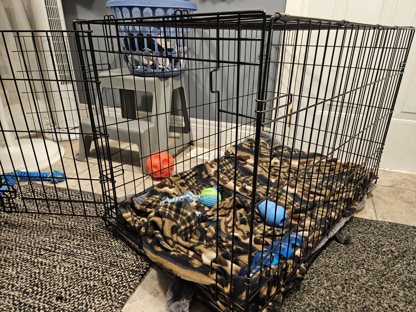 Wire Dog Crate with slide out tray.