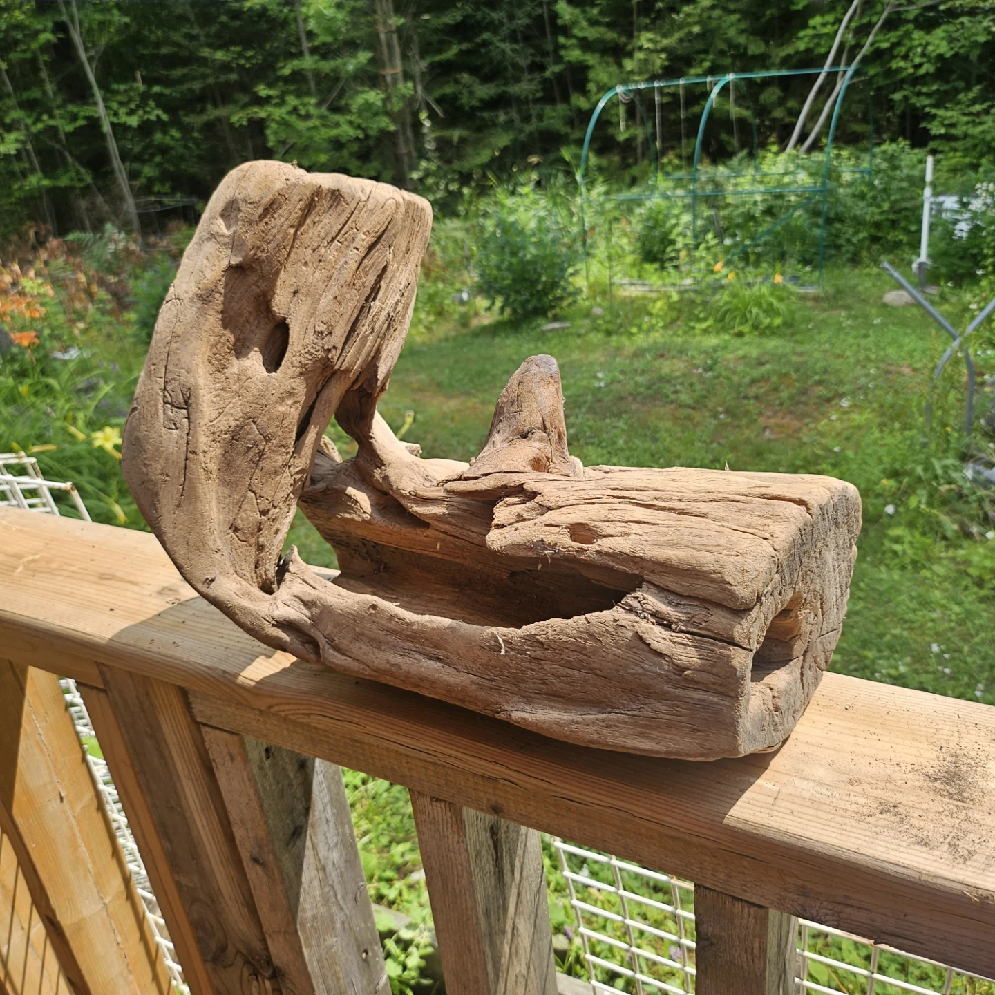 Unique Natural Driftwood Sculpture for Decor - photo 3