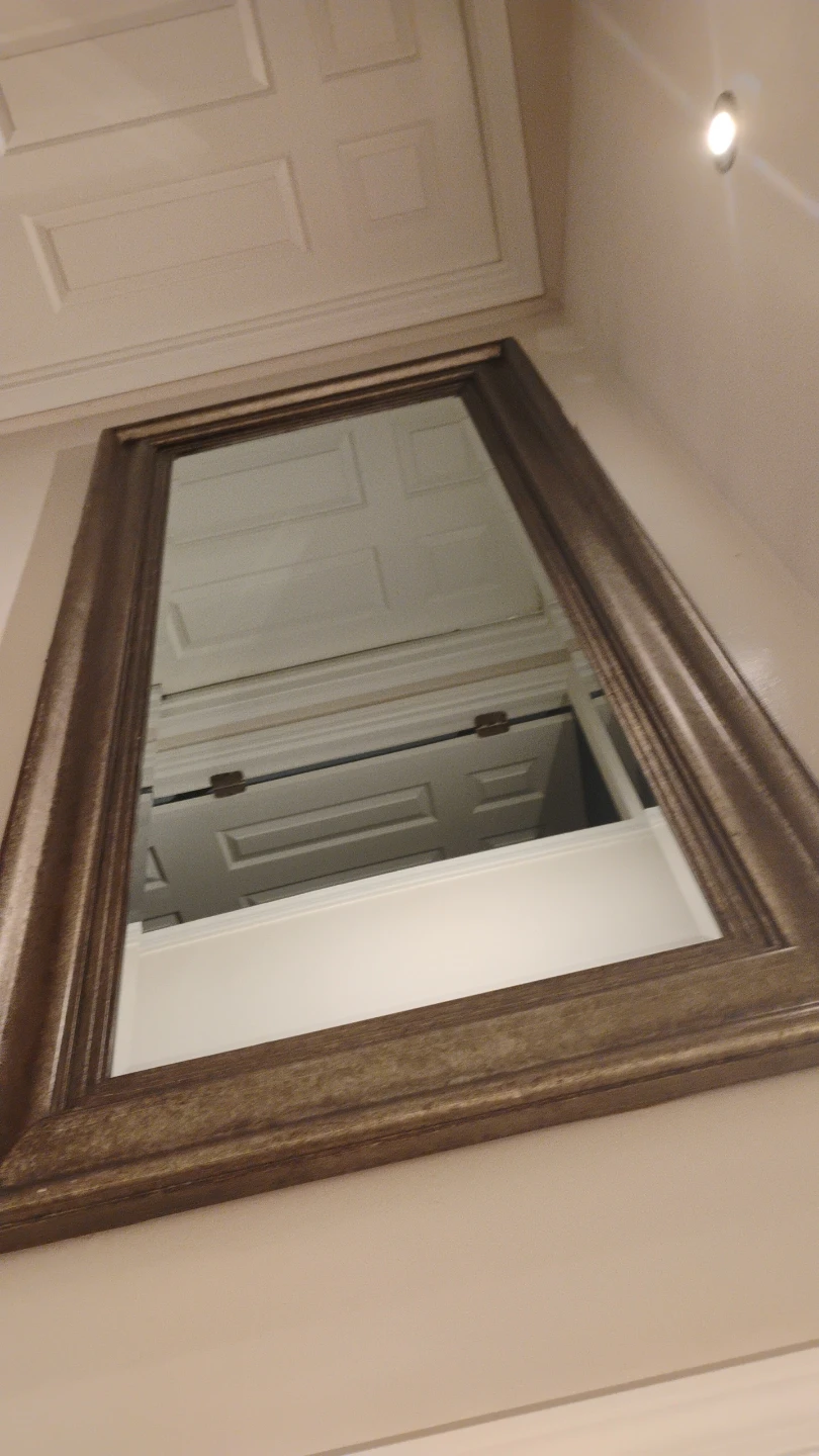 Ornate Framed Wall Mirror