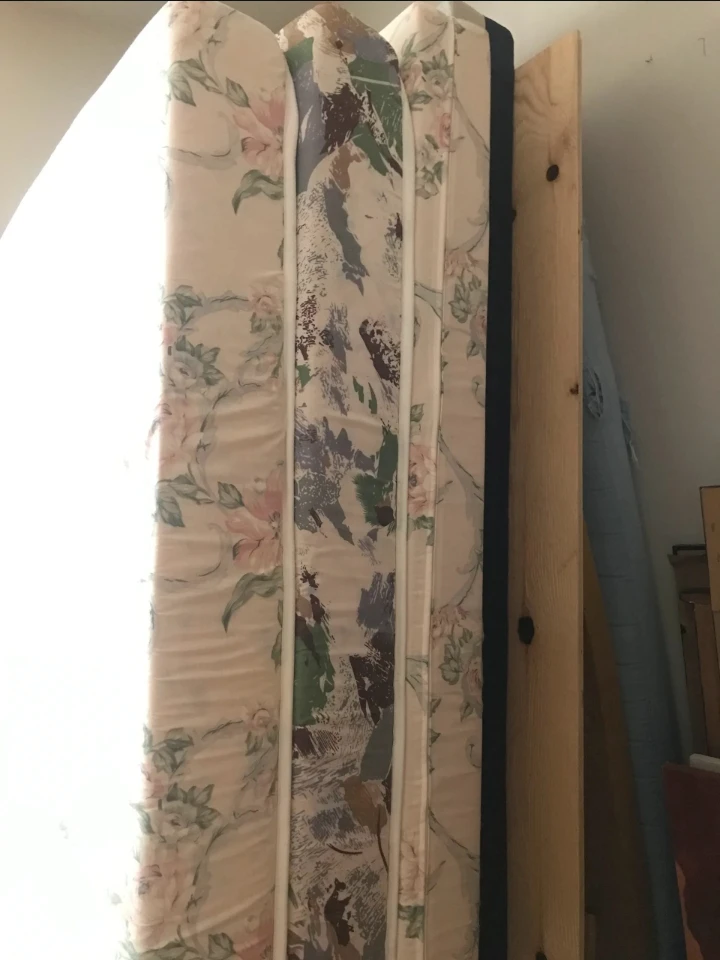 Free Twin Mattress 🥕 - photo 2