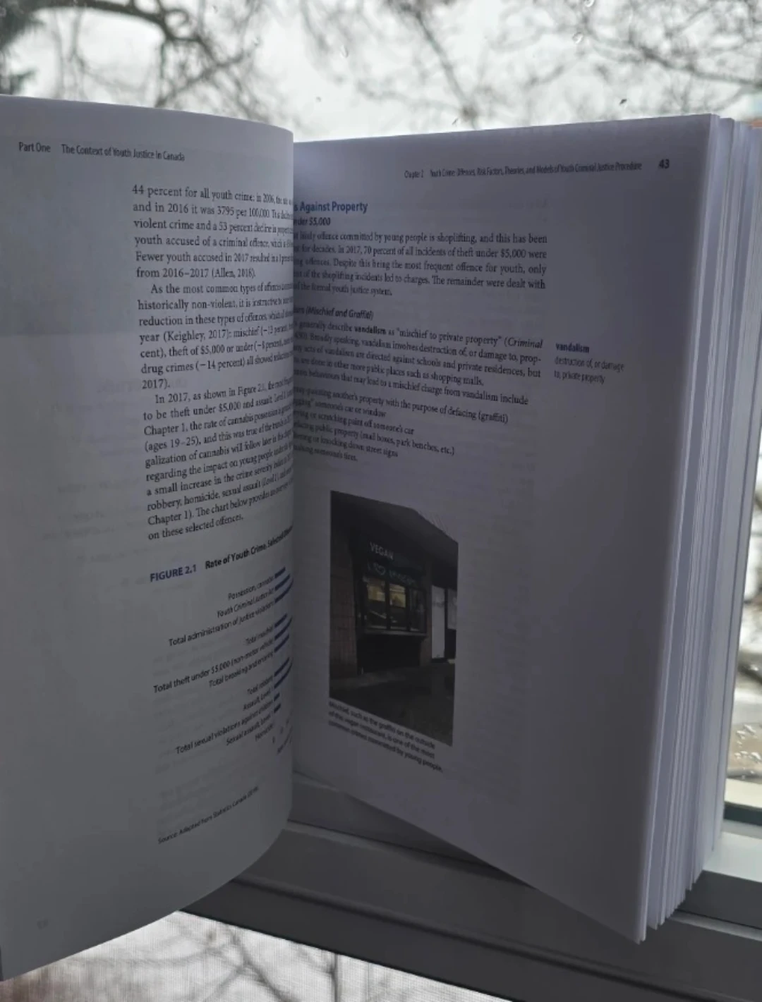 Youth and the Law Fourth Edition Textbook - photo 2