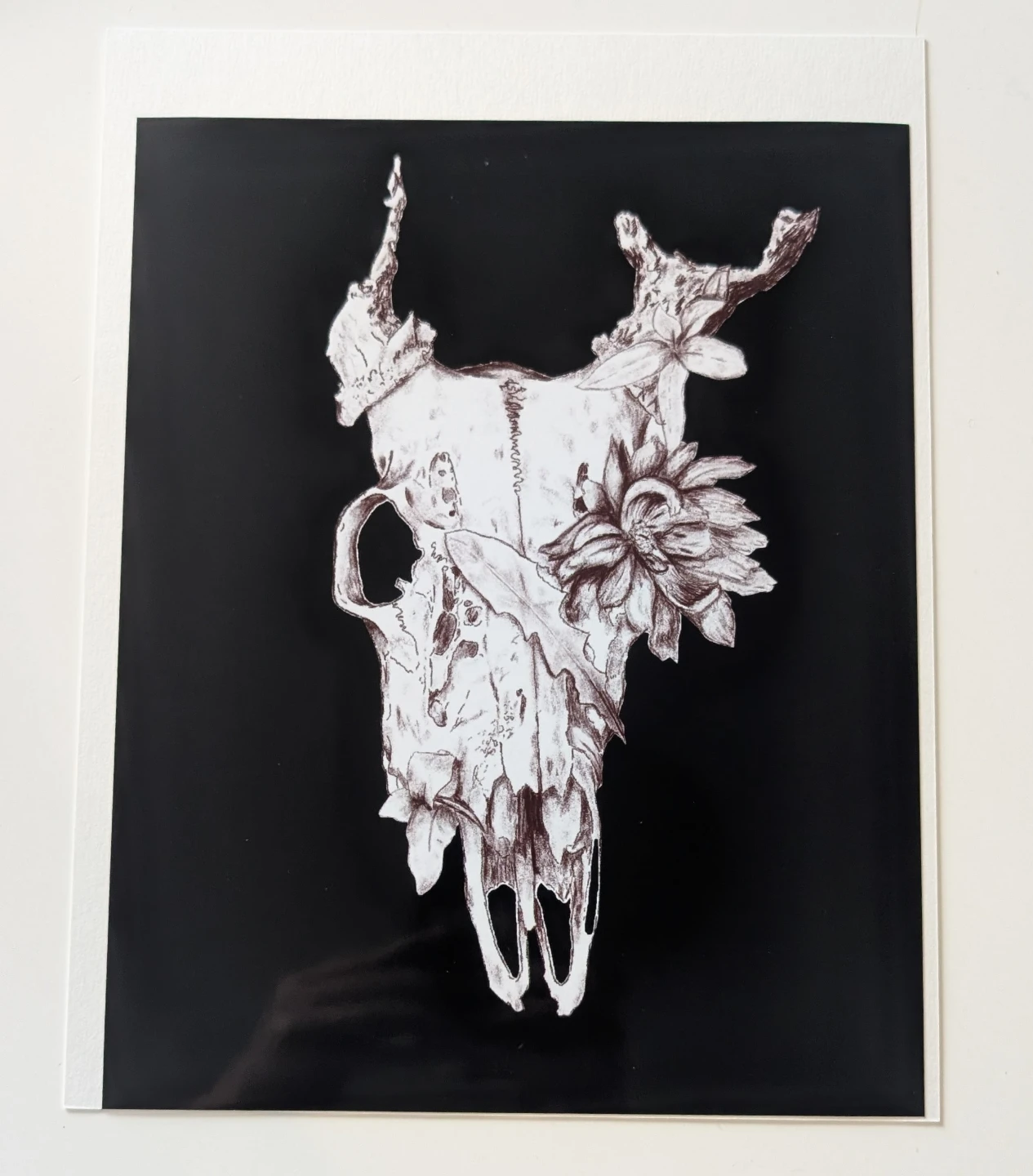 Skull and Ghost Illustrations
