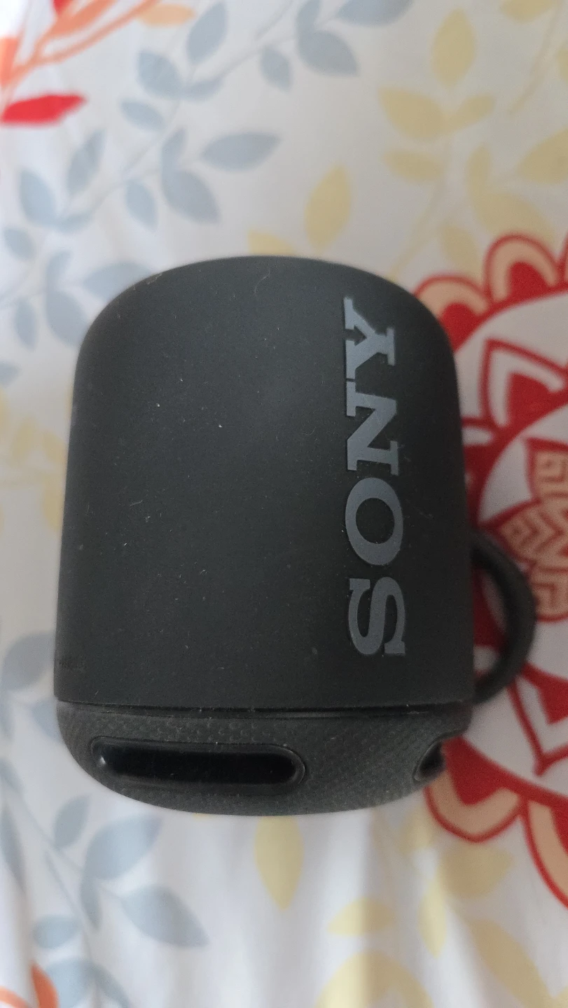 Sony Portable Bluetooth Speaker