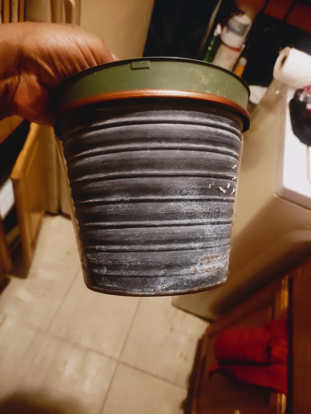 🧡Black Textured Planter Pot used