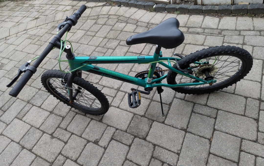Movelo Algonquin 20" Kids Bike - photo 5