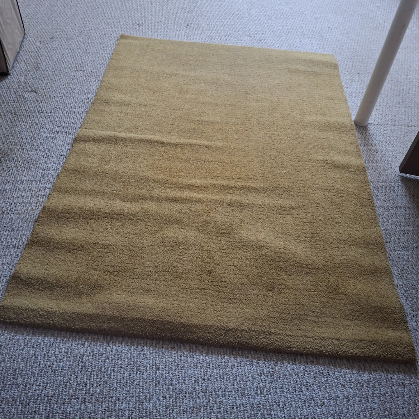 IKEA LANGSTED Rug *some coffee stains*
