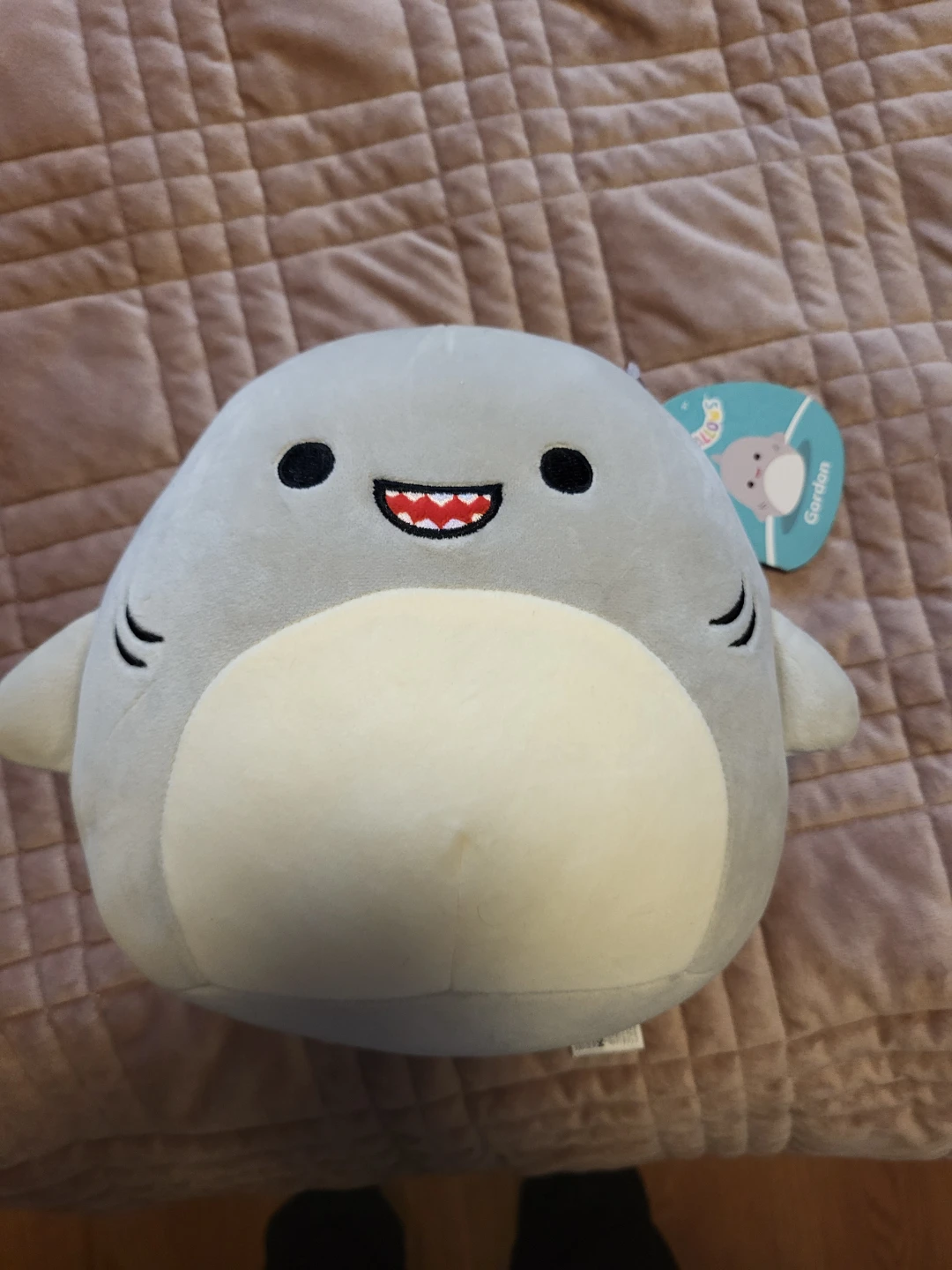 Squishmallow Gordon the Shark Plush