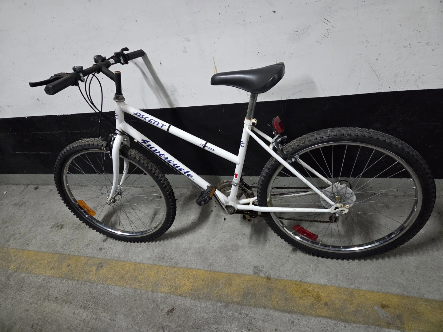 Supercycle Ascent 12-Speed Mountain Bike