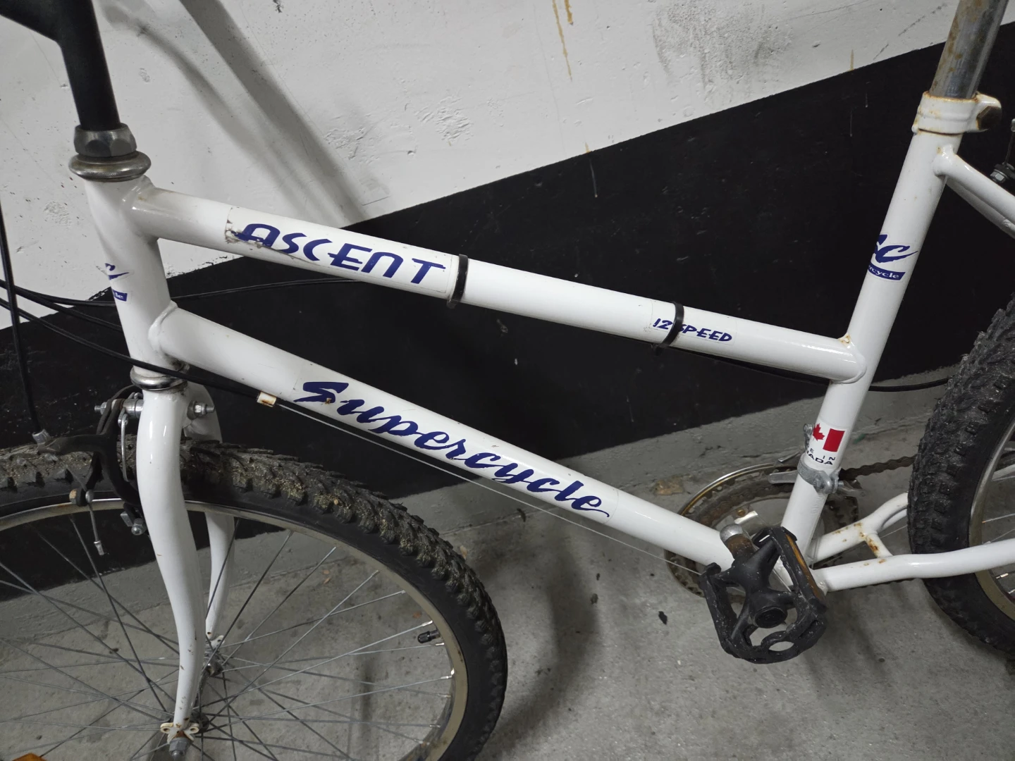 Supercycle Ascent 12-Speed Mountain Bike - photo 4