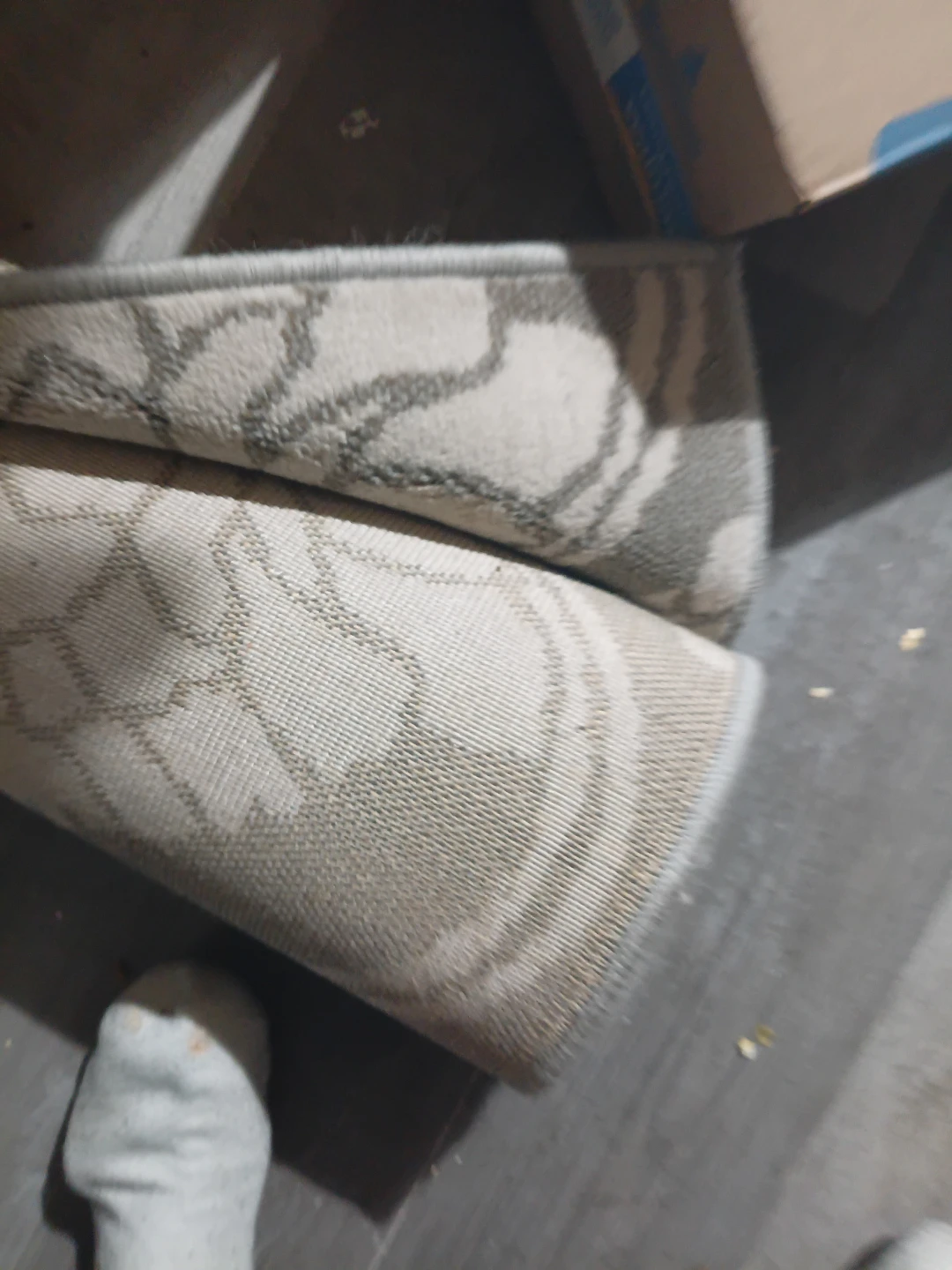 Area Rug - photo 2