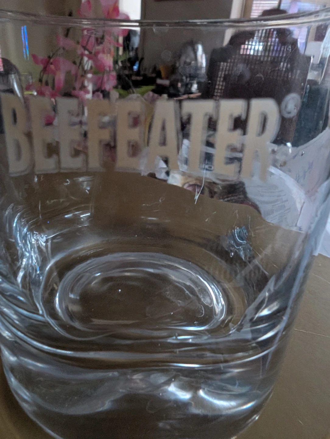 Mott's Clamato Caesar & Beefeater Gin Glasses - photo 3