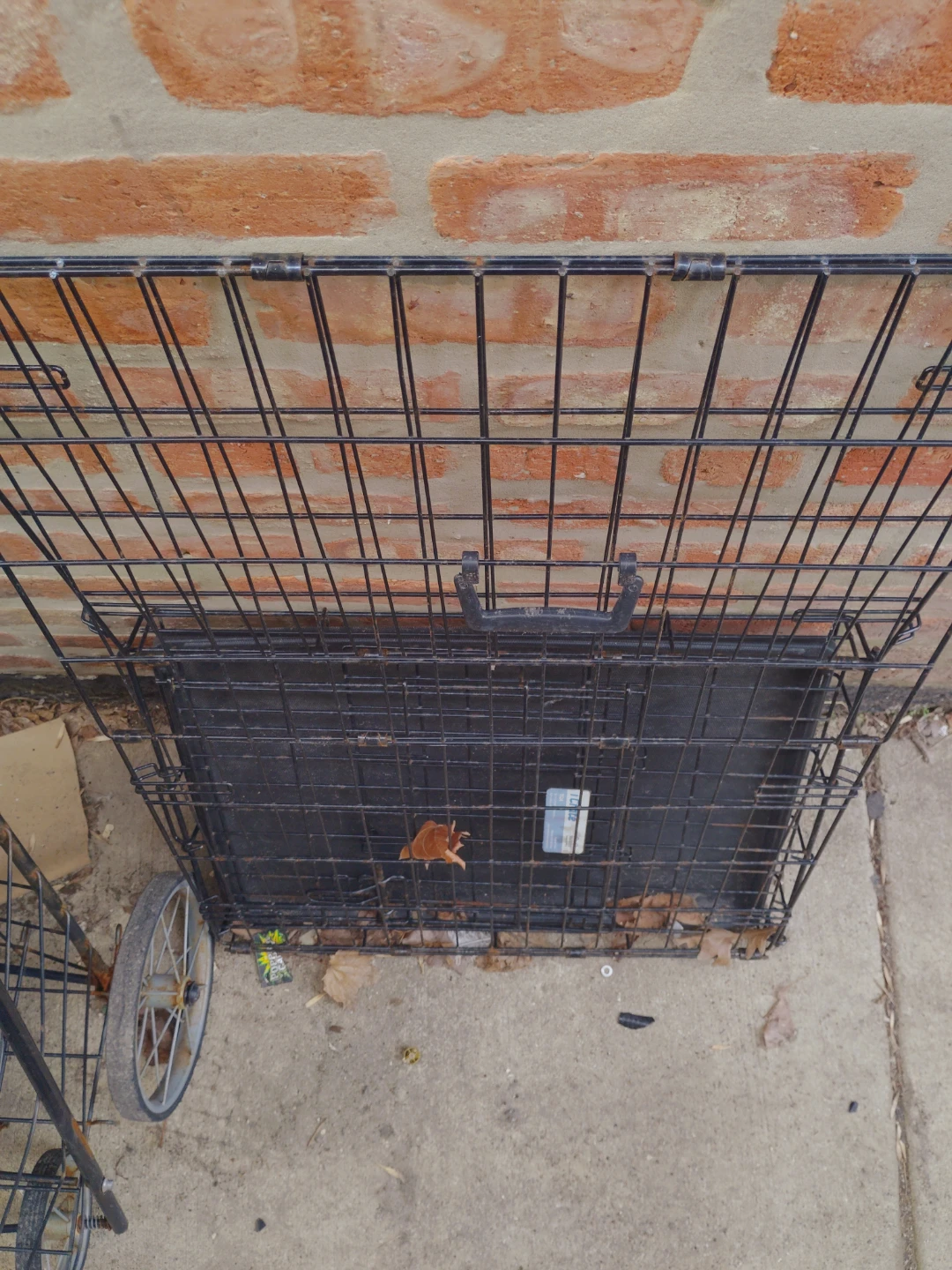 Black Metal Dog Crate