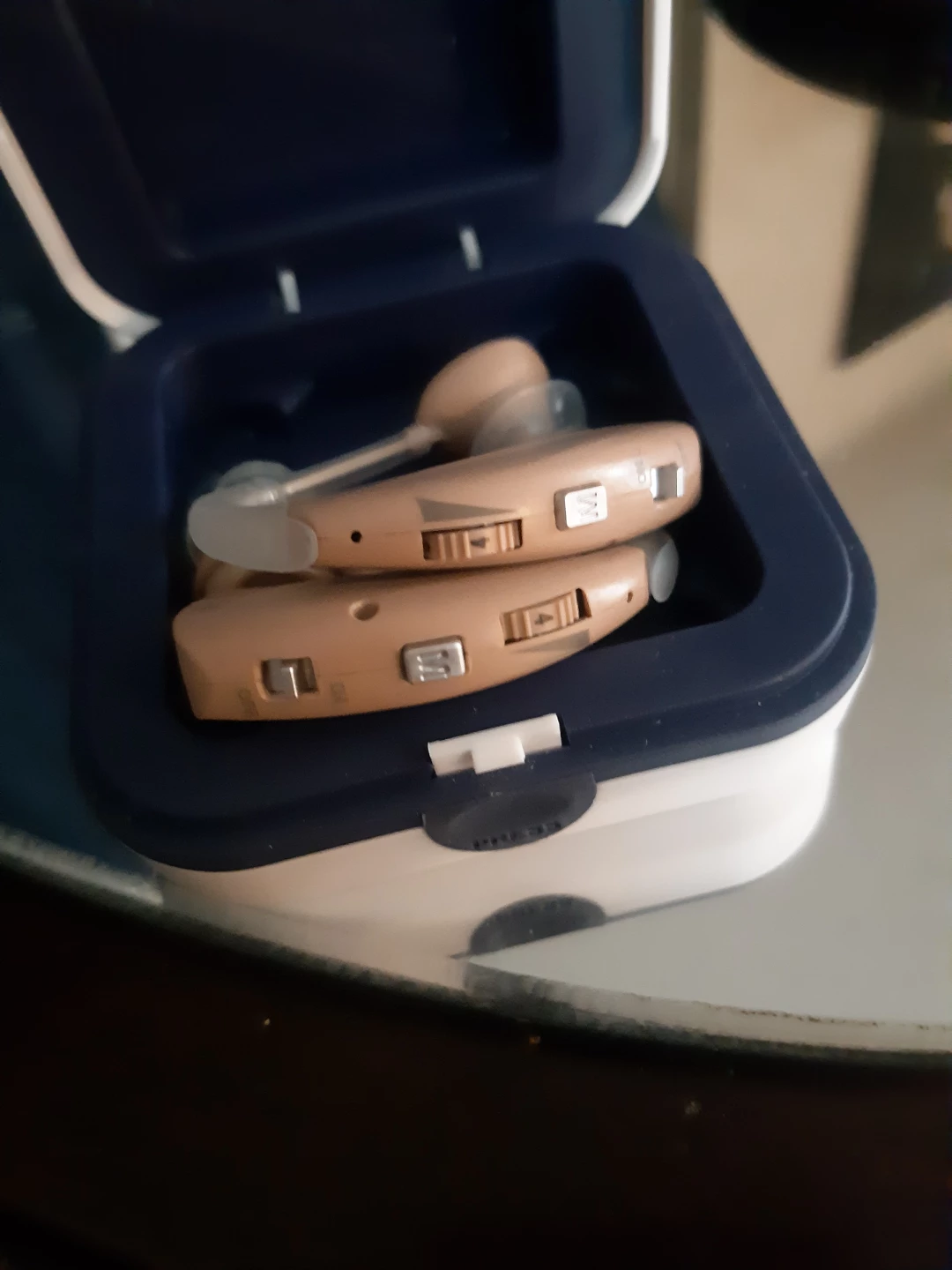 Delmicure Hearing Aids with Charging Case