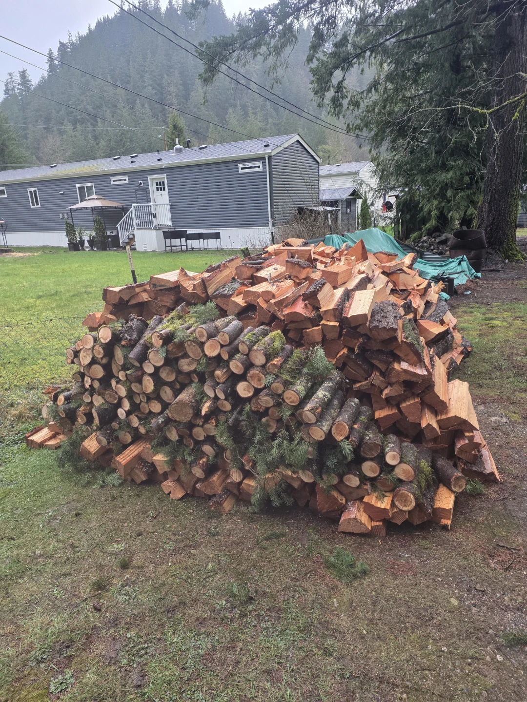 Firewood for Sale - photo 5