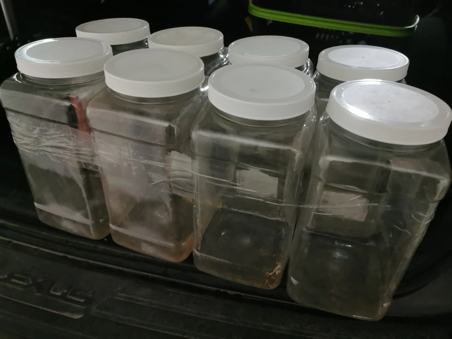 Set of 8 Clear Plastic Spice Jars with White Lids