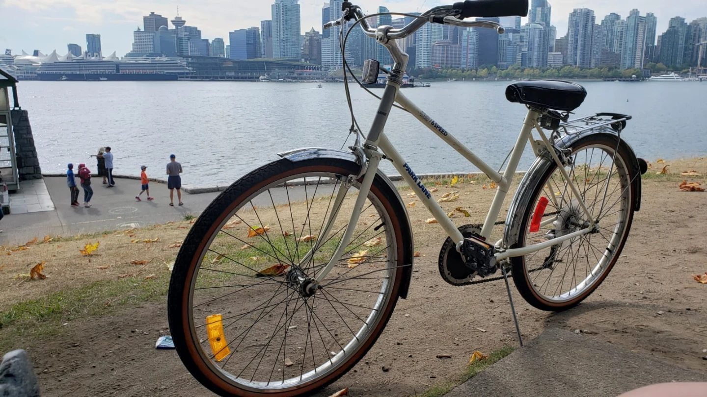 White Park Lane Bicycle