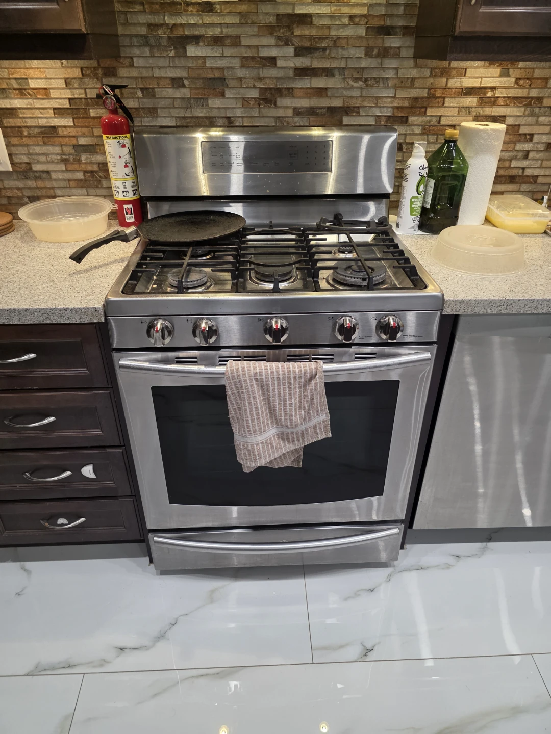 Stainless Steel Gas Range Stove