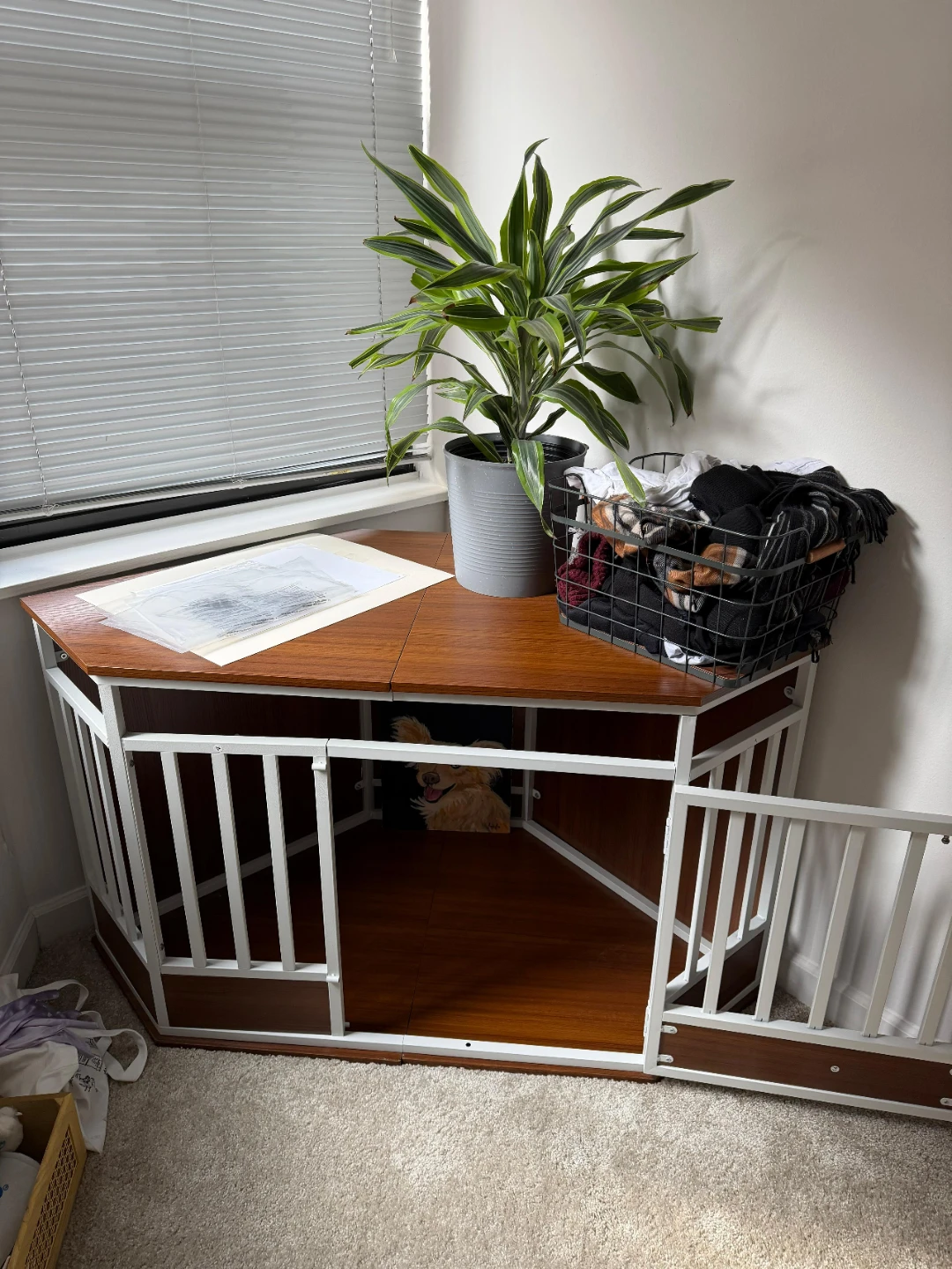 Corner Dog Crate Table with Drawer