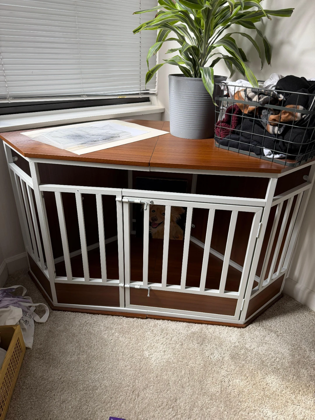 Corner Dog Crate Table with Drawer - photo 3