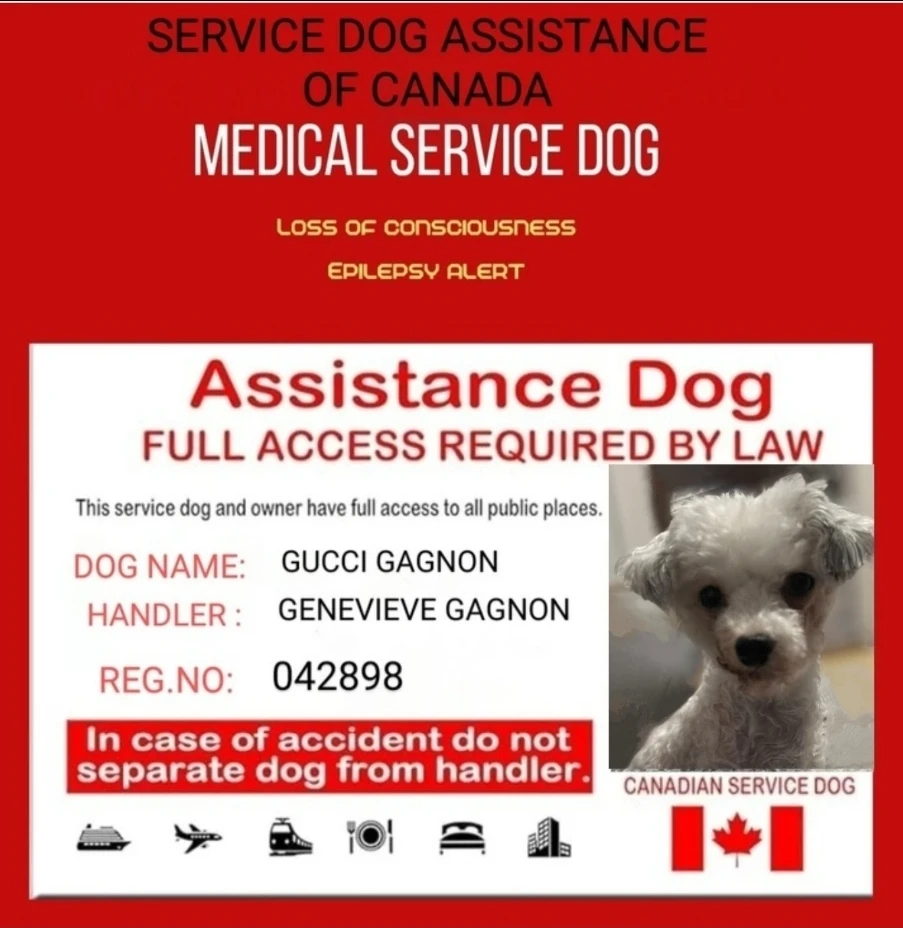Carte d'identité de chien d'assistance - photo 2