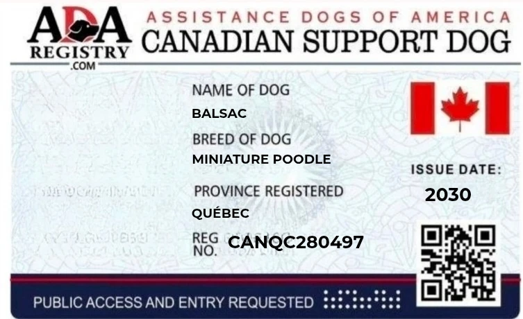 Carte d'identité de chien d'assistance - photo 3