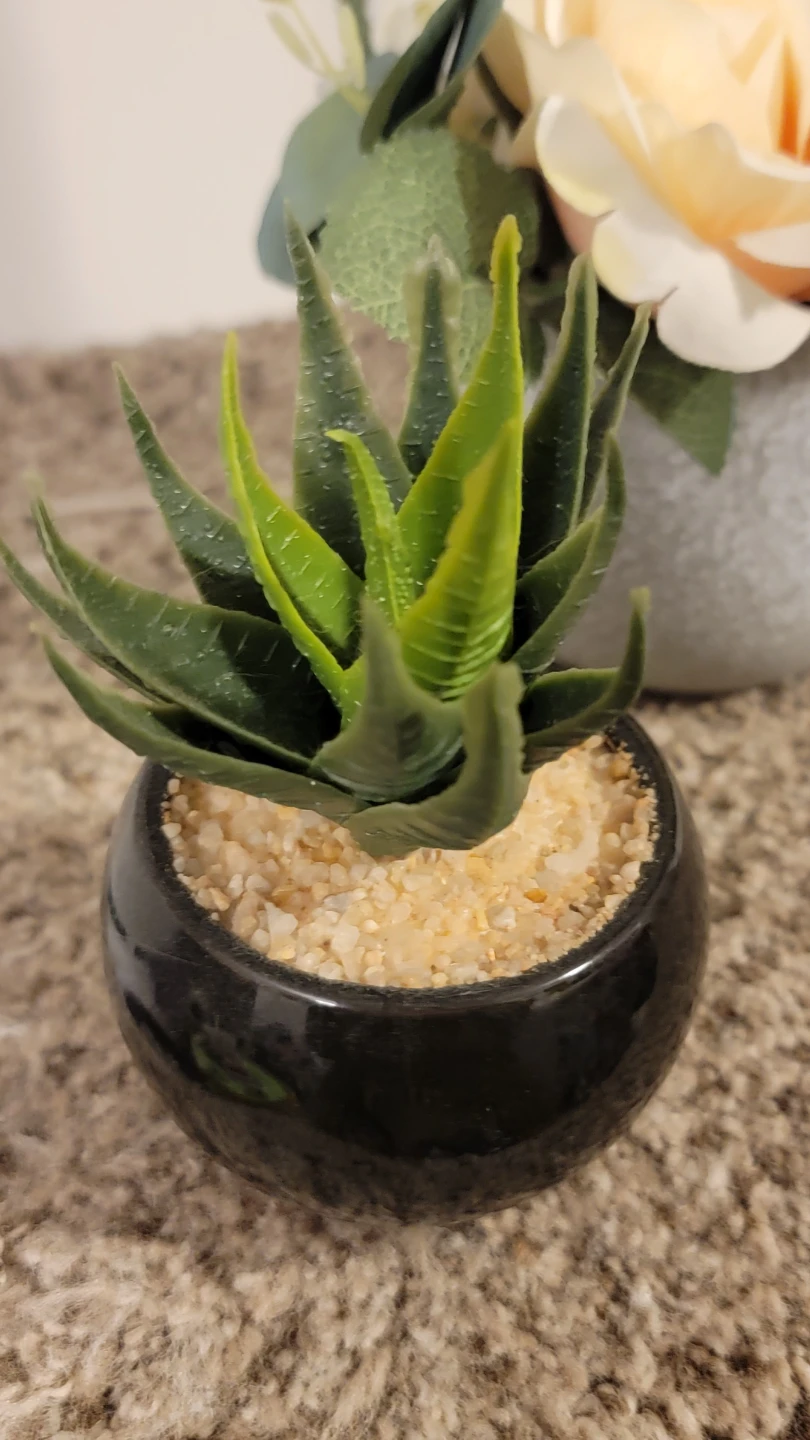 Artificial Rose and Succulent Plant Set - photo 3