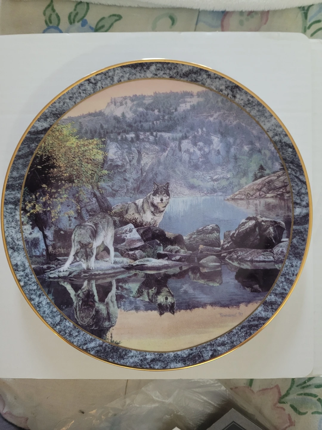 Shoreline Encounter Limited Edition Plate by Brent Townsend.