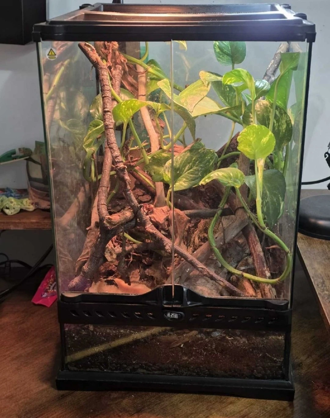 Exo Terra Terrarium Habitat
