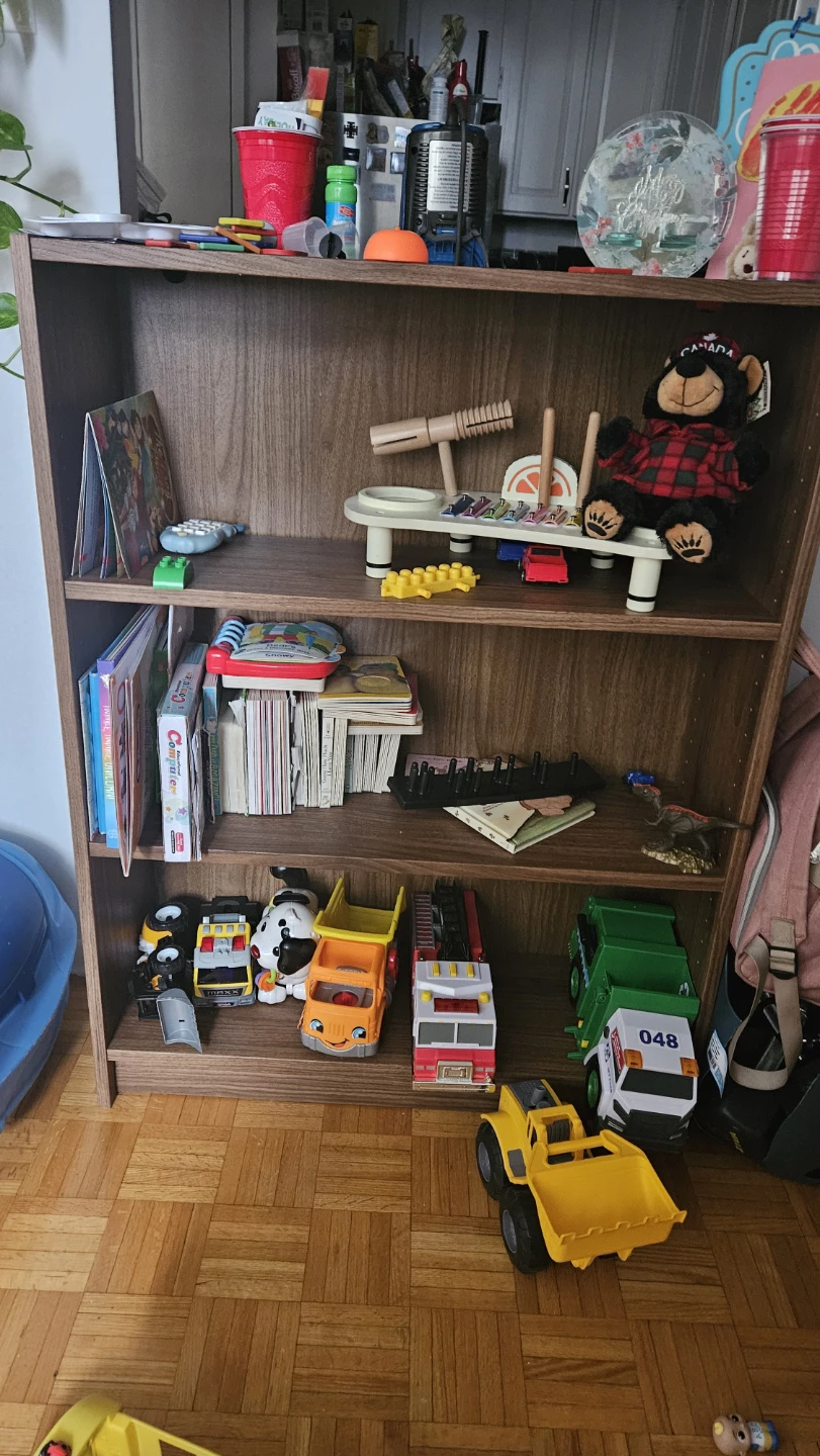 Bookshelves or Toy shelves