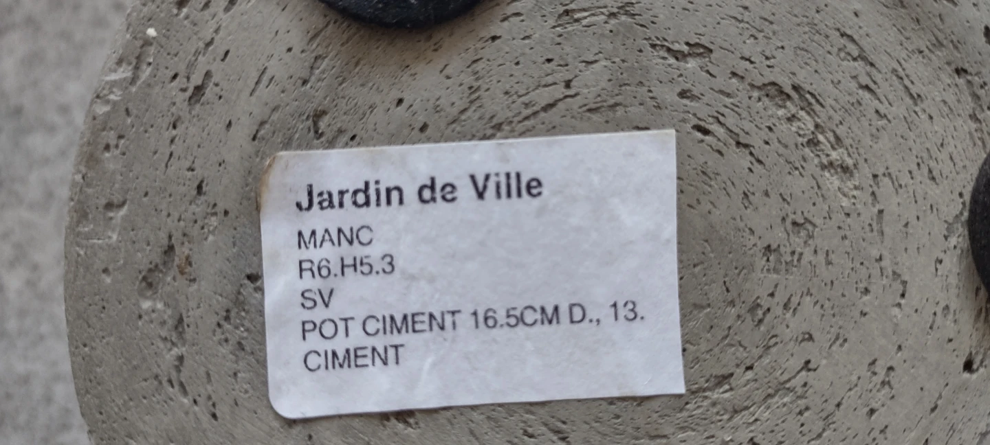 (NEW) Jardin de Ville Concrete Planter Pot - photo 4