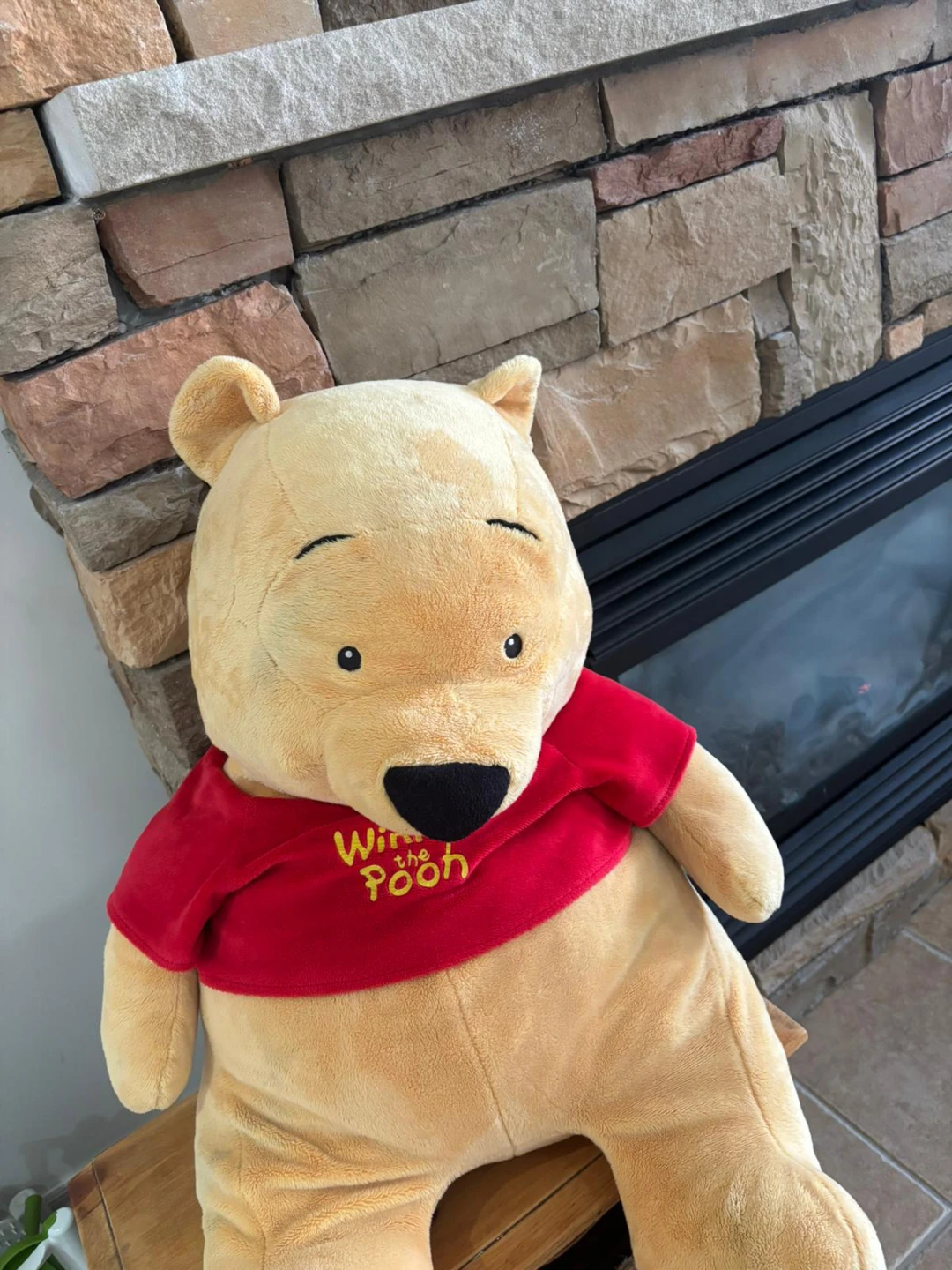 Winnie the Pooh Plush Toy