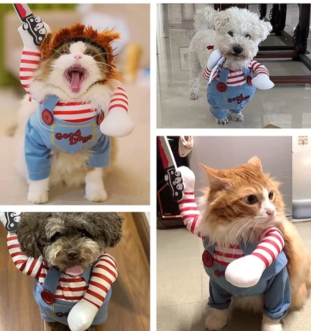NEW!    Dog Costume - Small 🧡