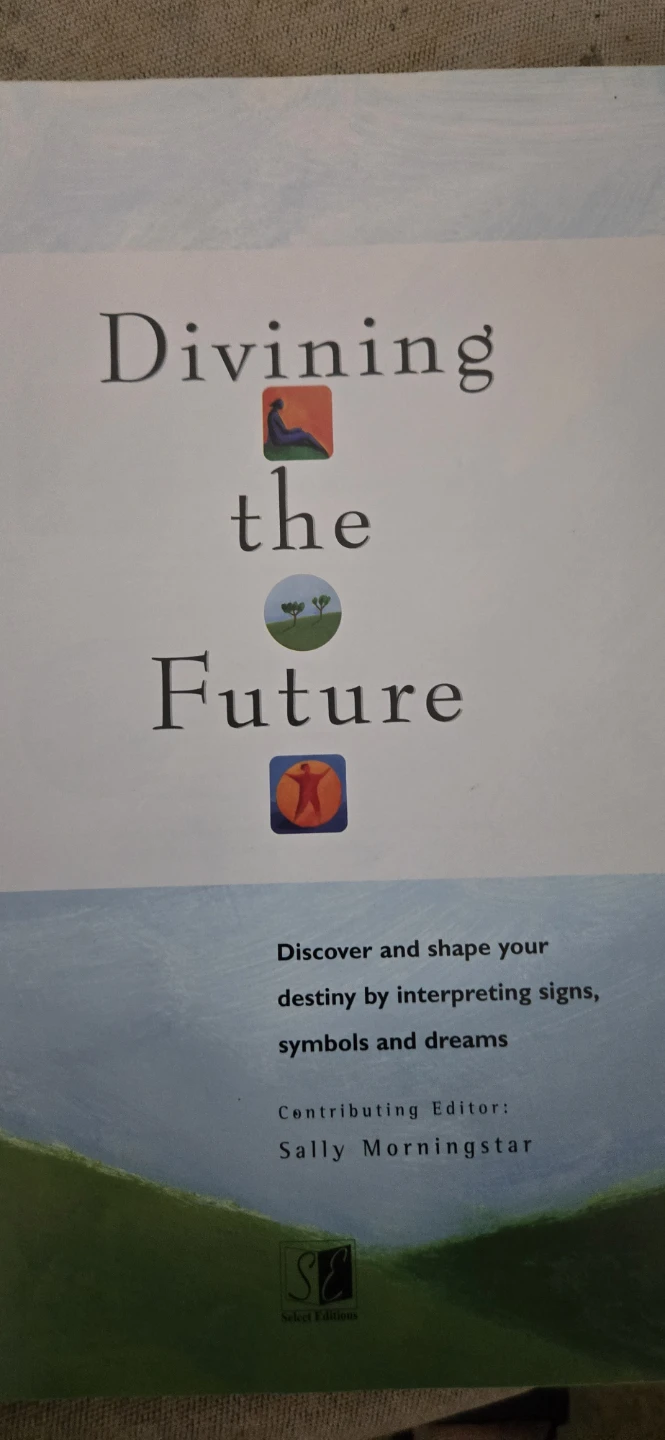 Divination book - photo 3
