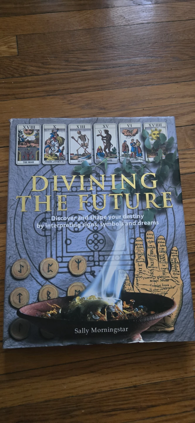 Divination book - photo 4