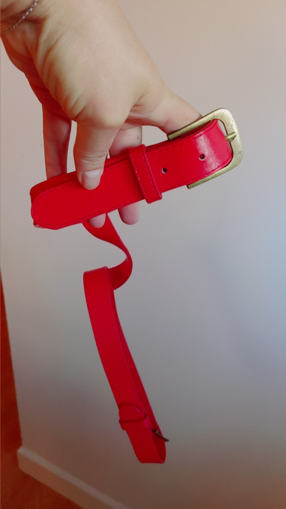 Red leather with Gold Buckle Dog Harness - photo 2