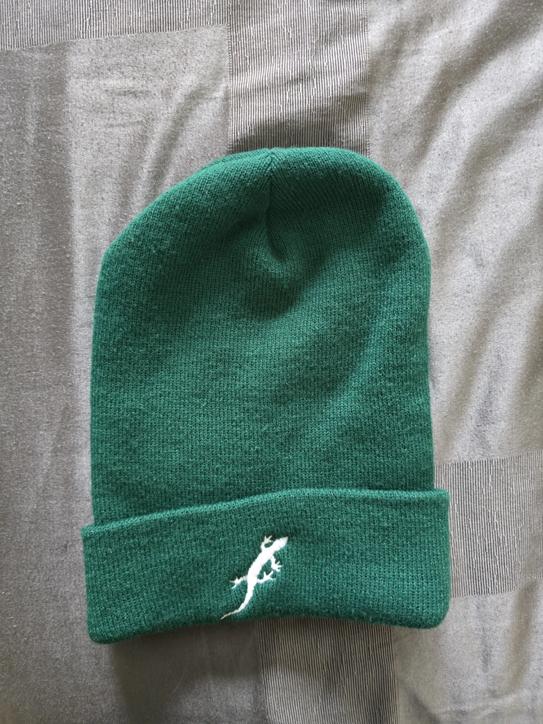 New Green Beanie with Lizard Design 🦎