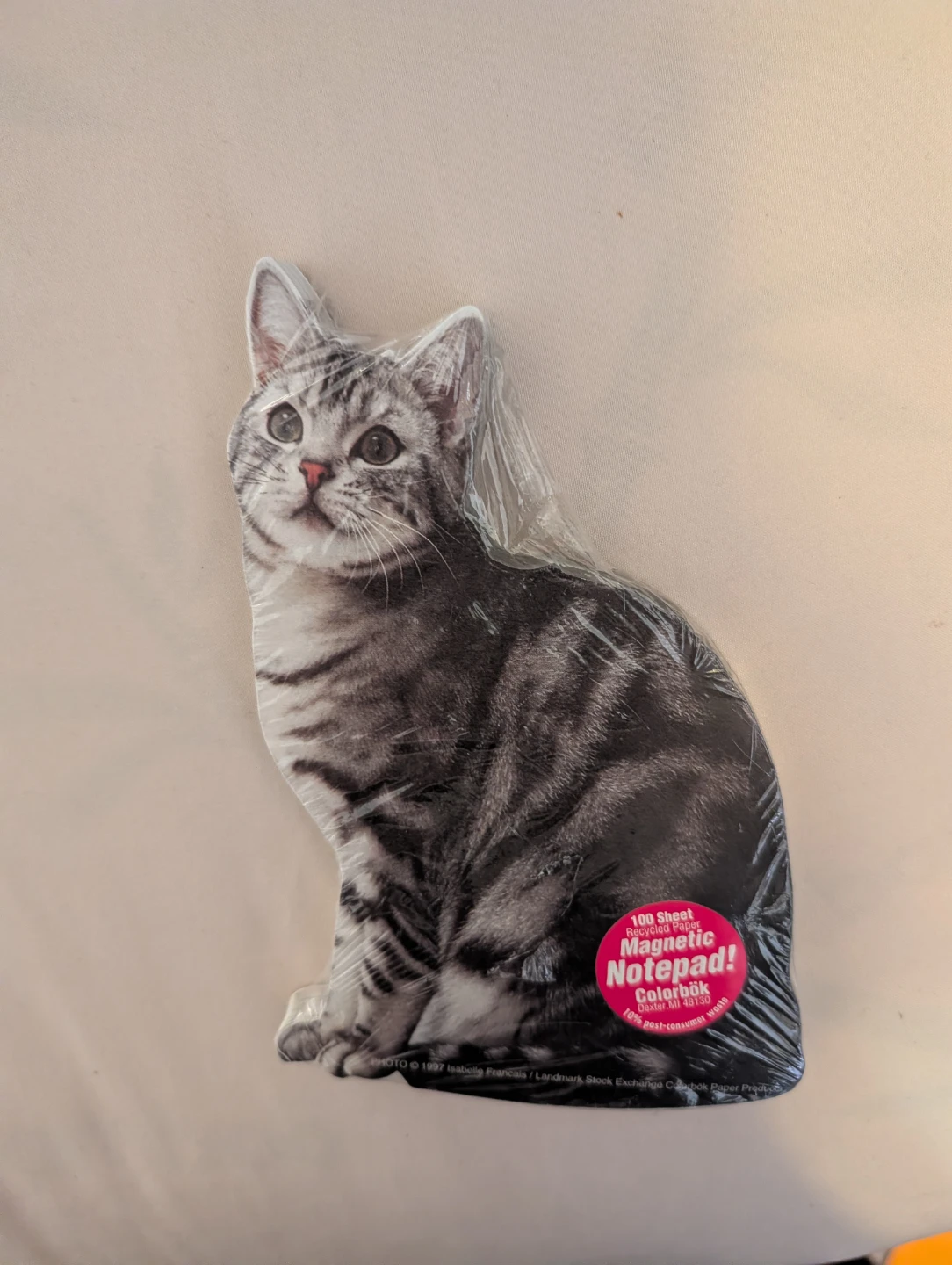 Colorbok Magnetic Notepad Cat Design