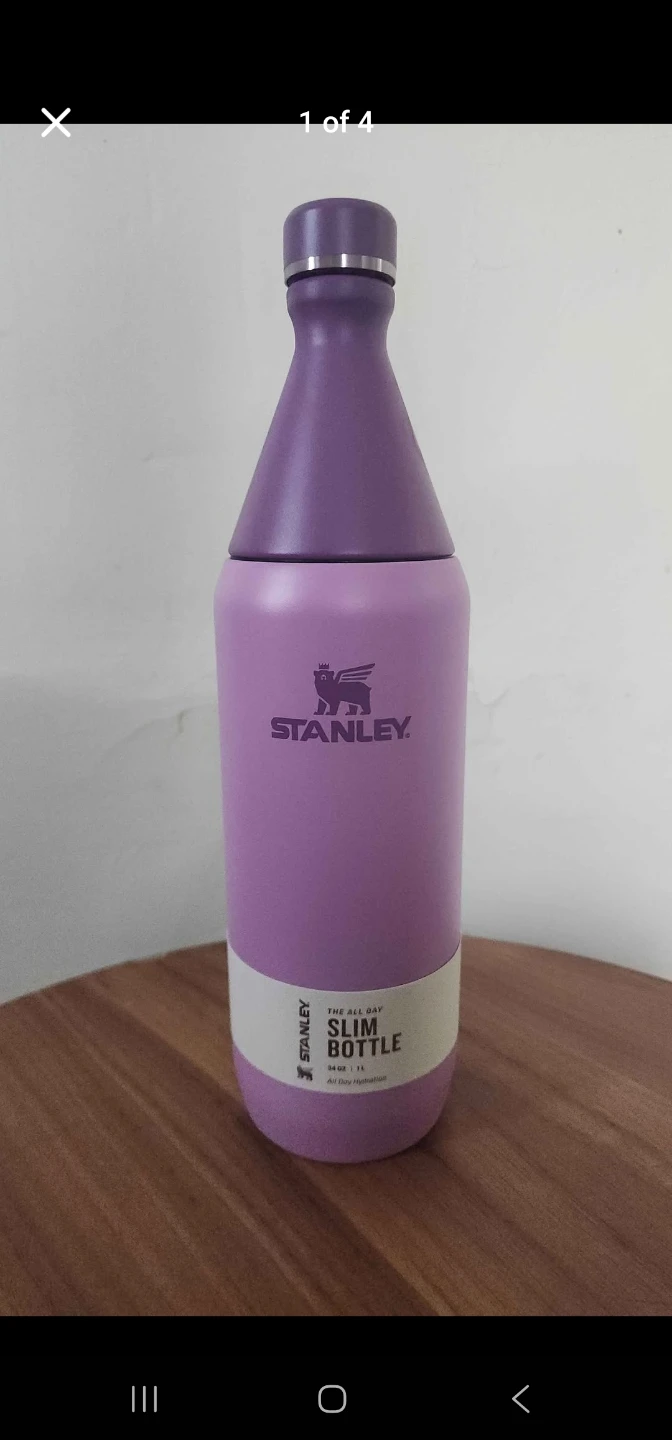 Stanley The All Day Slim Bottle