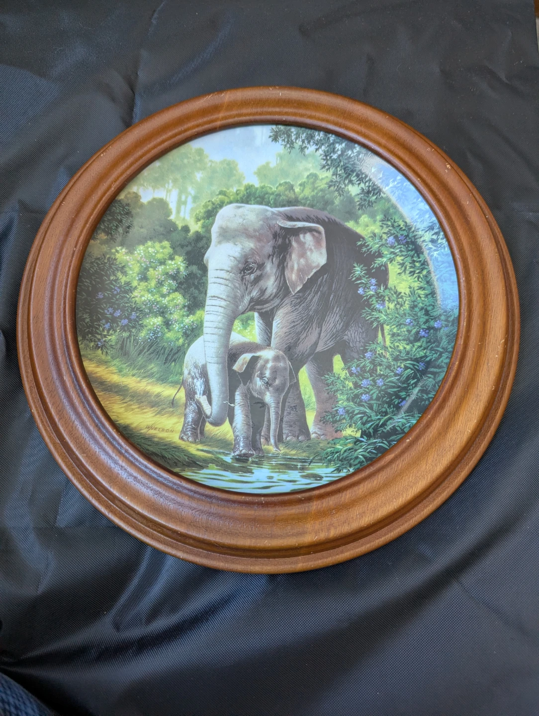 Collection of Decorative Plates with Wildlife Art - photo 5