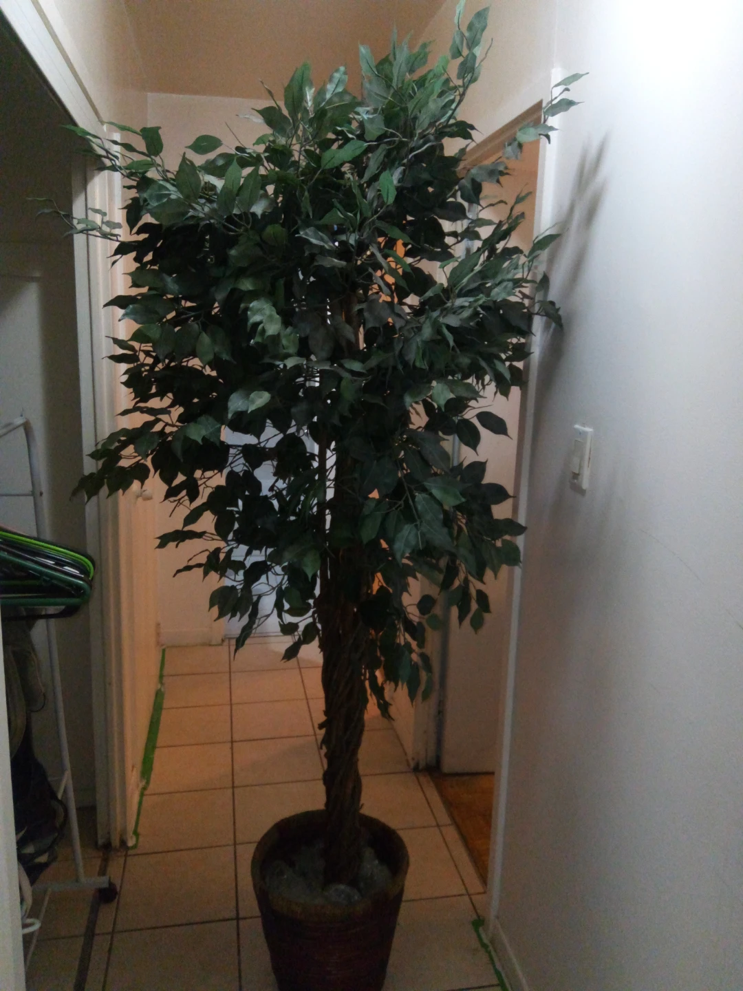 Artificial Ficus Tree in Pot