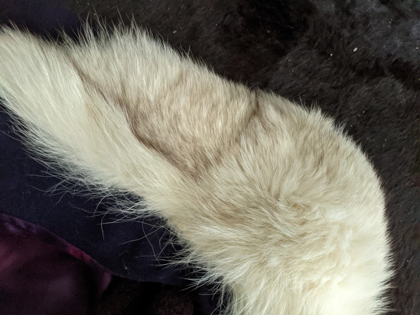 Women's Vintage Coat with Fur Collar - photo 3
